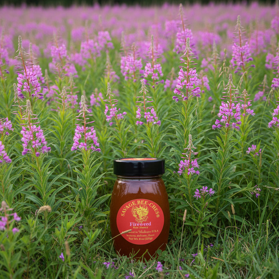 SAVAGE BEE-CHES Fireweed Honey
