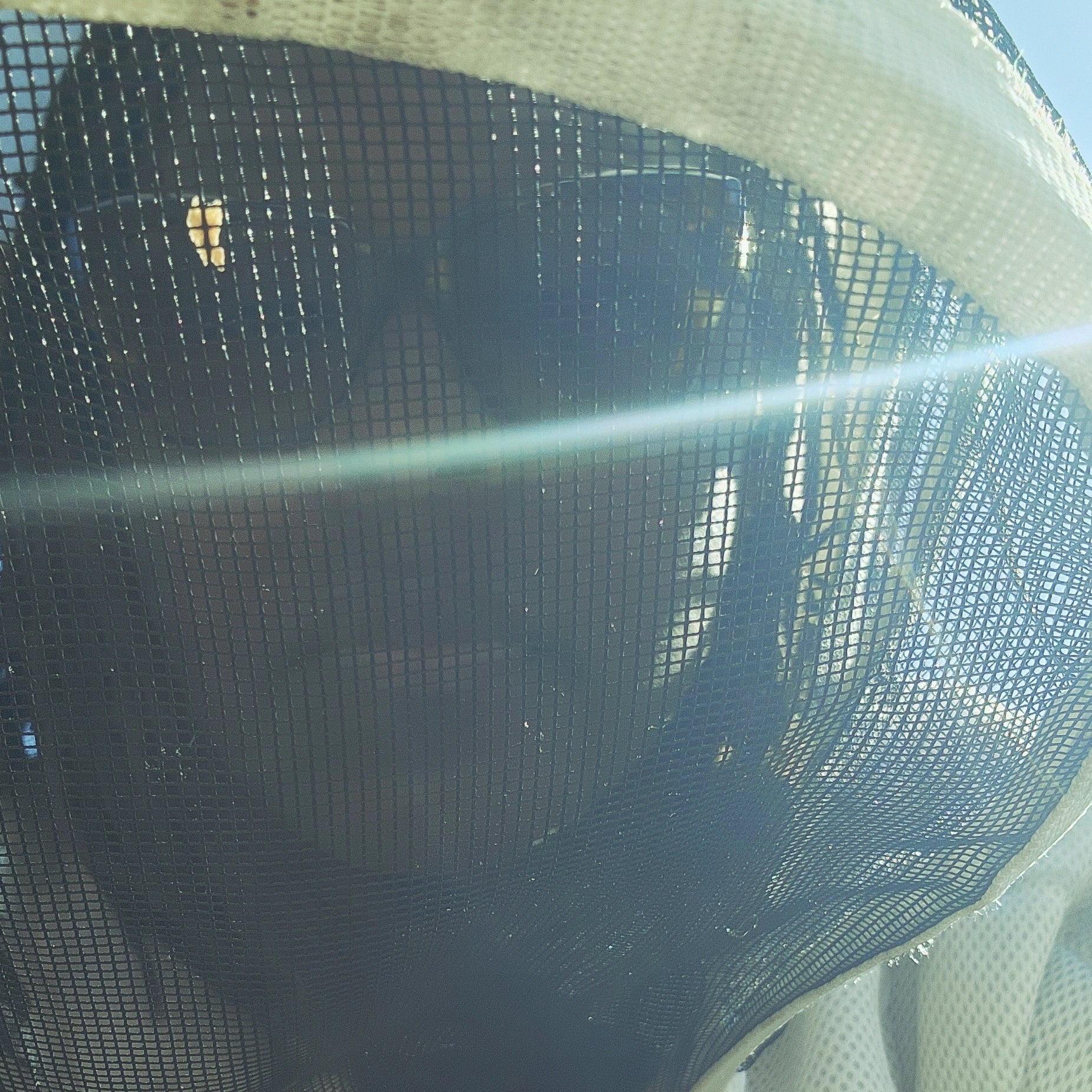 Kemi's Musings- Gatekeeping