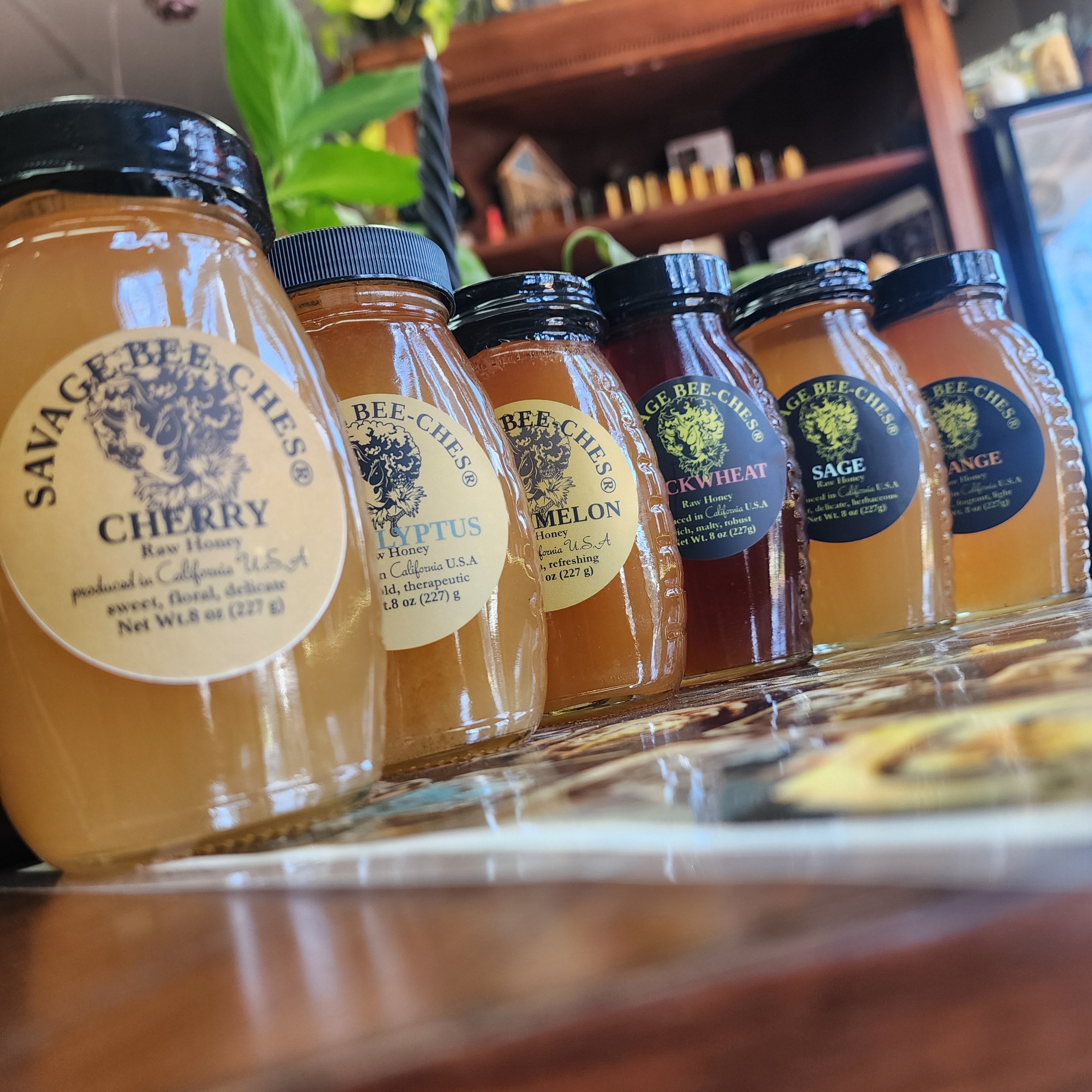 Raw honey varietal jars at SAVAGE BEE-CHES San Diego honey boutique.