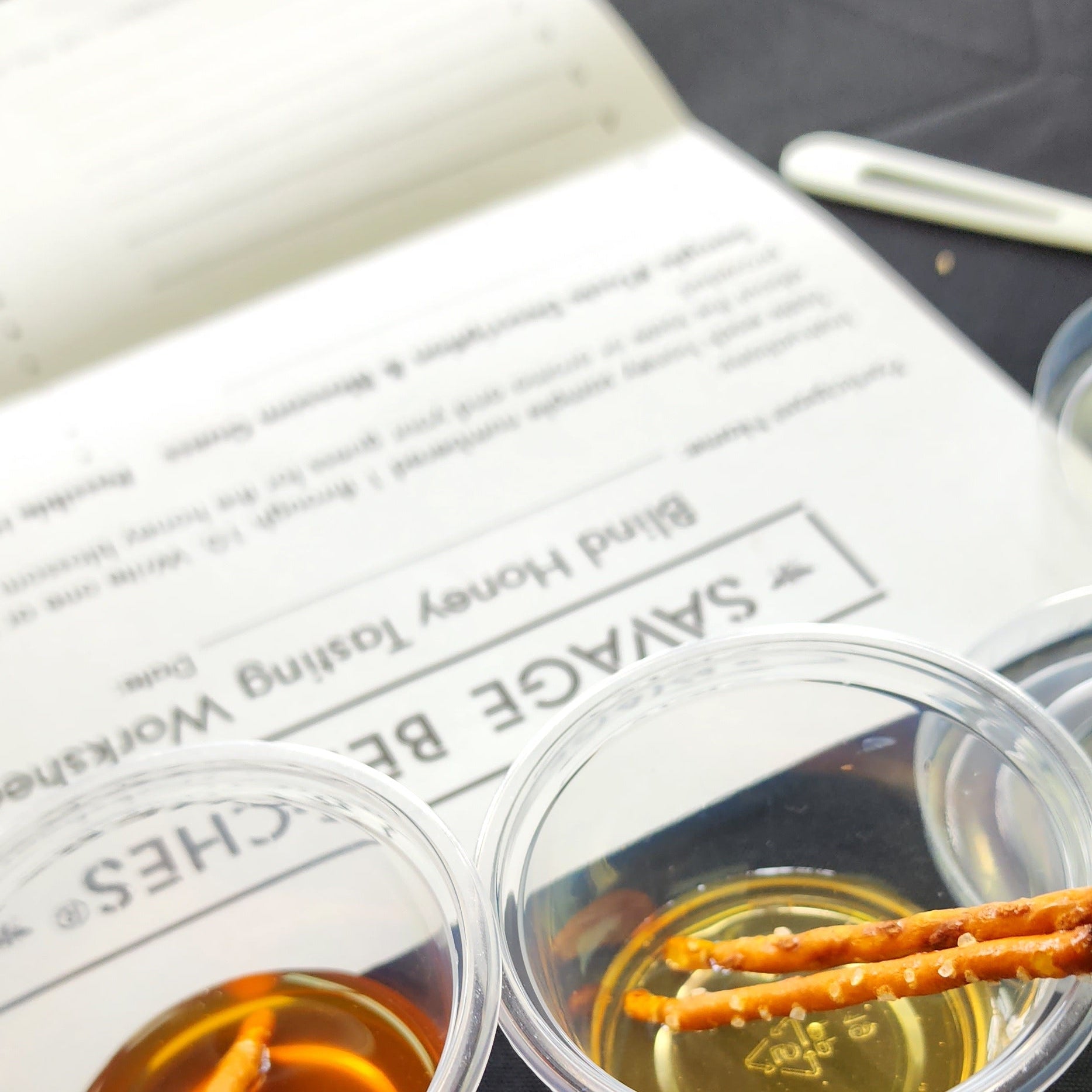 Honey Tasting Kit
