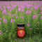 SAVAGE BEE-CHES Fireweed Honey