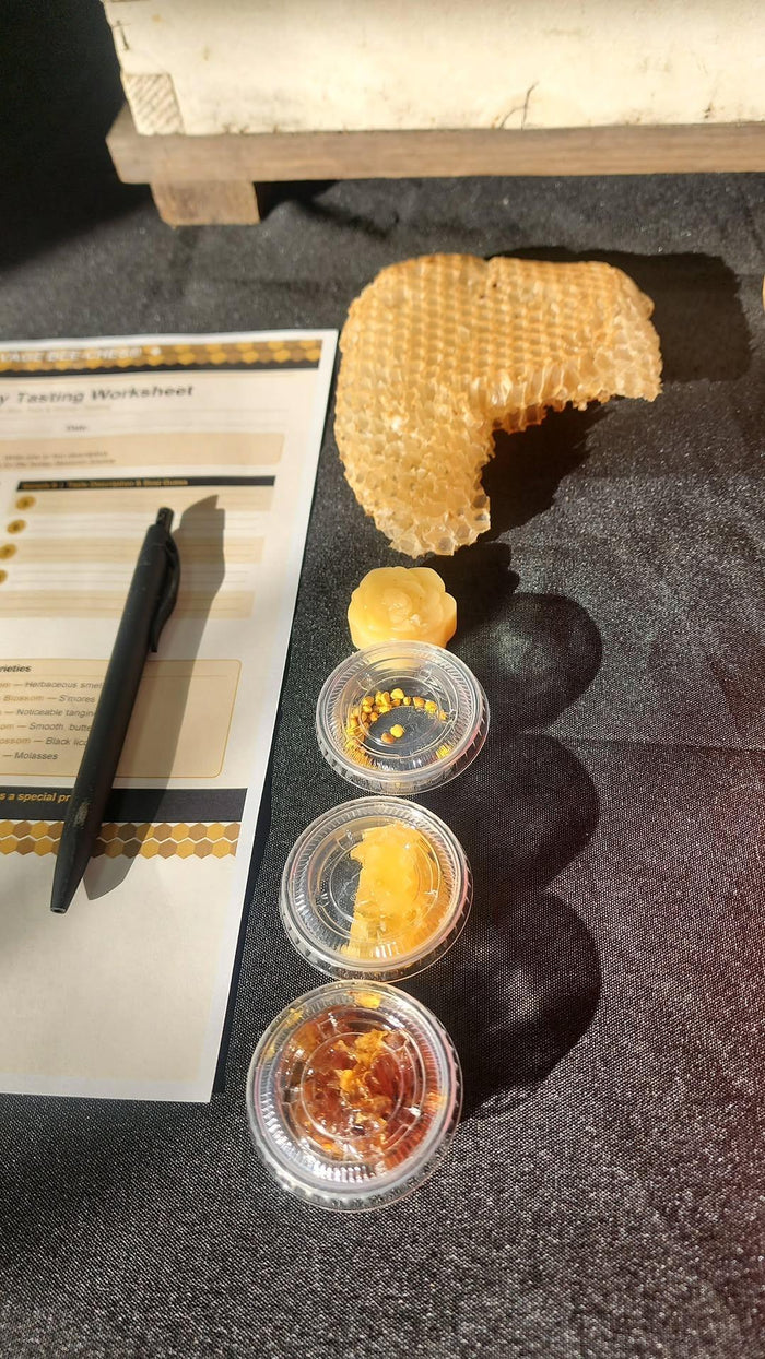 Honey tasting at SAVAGE BEE-CHES