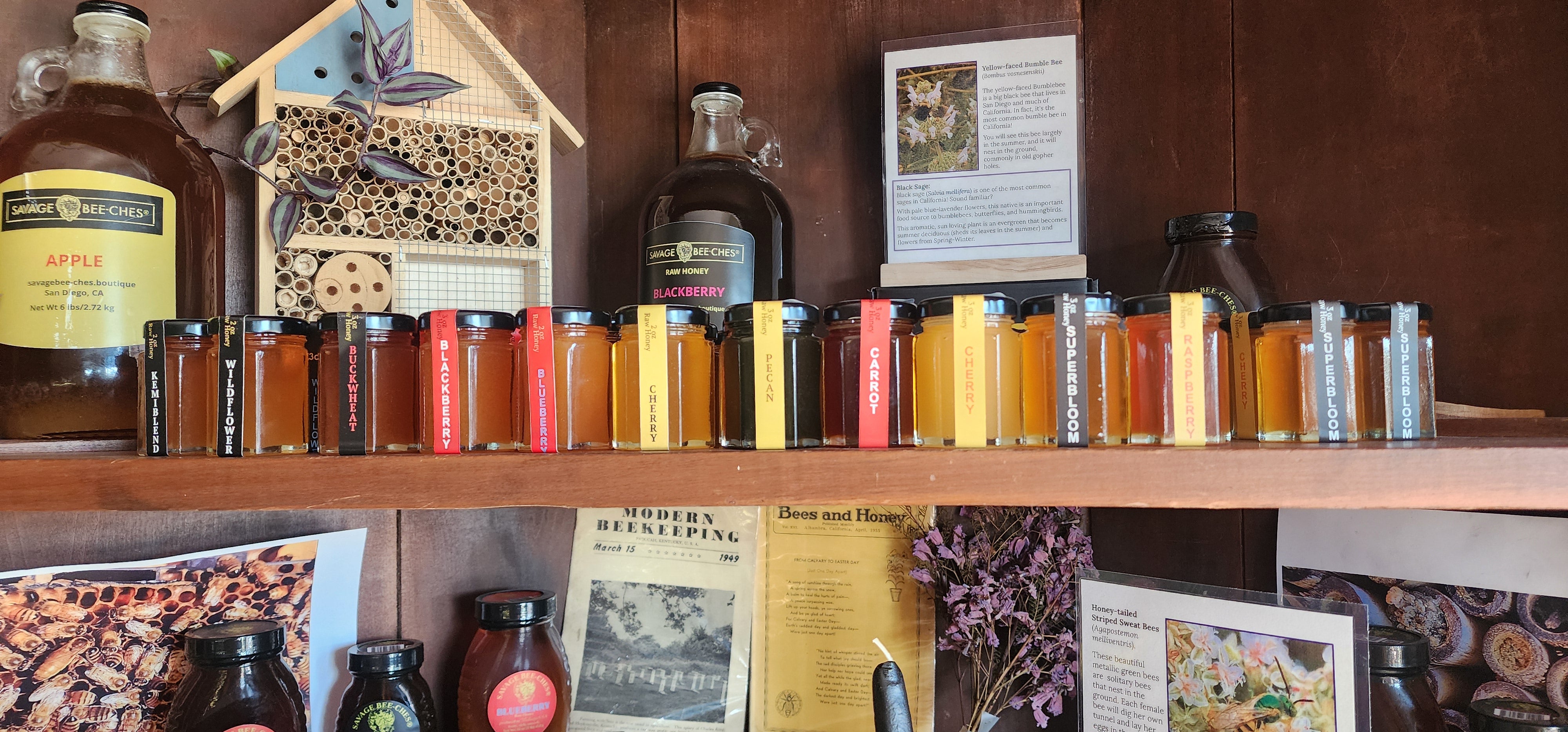 10-Pack Honey Tasting Gift Box | San Diego Raw Honey Sampler